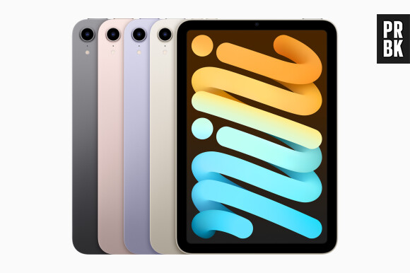 iPad mini : les différentes finitions disponibles