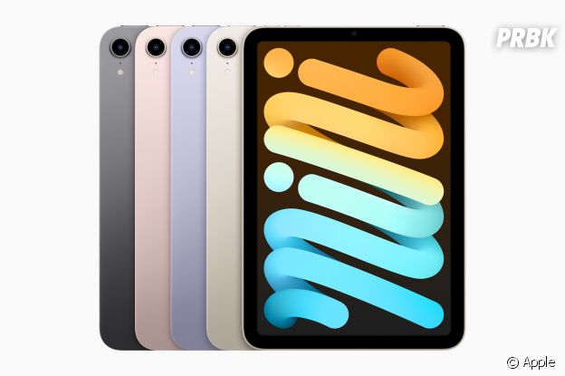 iPad mini : les différentes finitions disponibles