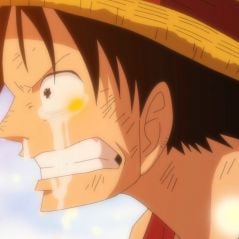 One Piece en deuil : un acteur de l'anime est mort
