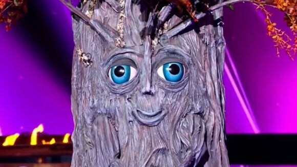 Mask Singer 2022 : qui est l'arbre ? Les indices et théories sur son identité (Mise à jour)