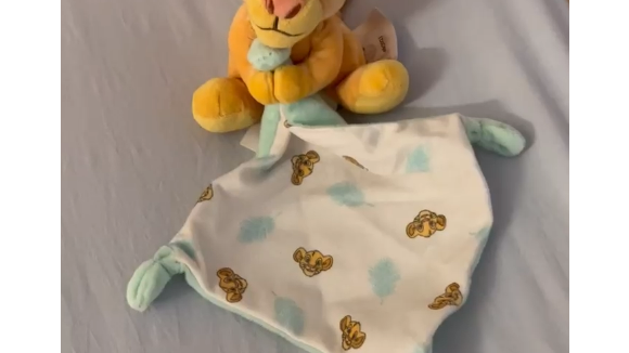 Laëtitia Servières (Familles nombreuses) maman : son 9ème enfant avec Sébastien est né !