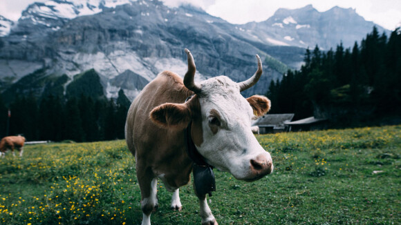 Après 14 ans de travail, la Suisse lance une batterie révolutionnaire pour l'avenir de l'énergie