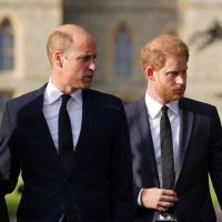 Le Prince William et le Prince Harry en guerre : ils ne se parlent plus du tout et ce n&#039;est pas près de changer