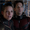 Ant-man et la Guêpe : Paul Rudd et Evangeline Lilly ont failli abandonner leurs rôles... pour une raison très valable !