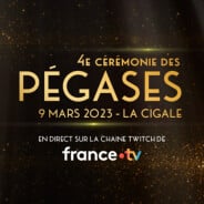 Pégases 2023 : la cérémonie française qui récompense les meilleurs jeux vidéo, c&#039;est ce soir ! Voici où la suivre et tous les nommés