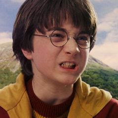 "Allez vous faire f*utre", "L'idée la plus merdique" : les fans en colère après l'annonce d'un remake d'Harry Potter en série par HBO Max