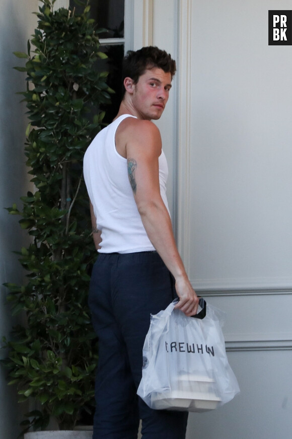 Exclusif - Shawn Mendes rentre chez lui, après quelques provisions chez "Erewhon", à Los Angeles, le 9 avril 2023.


