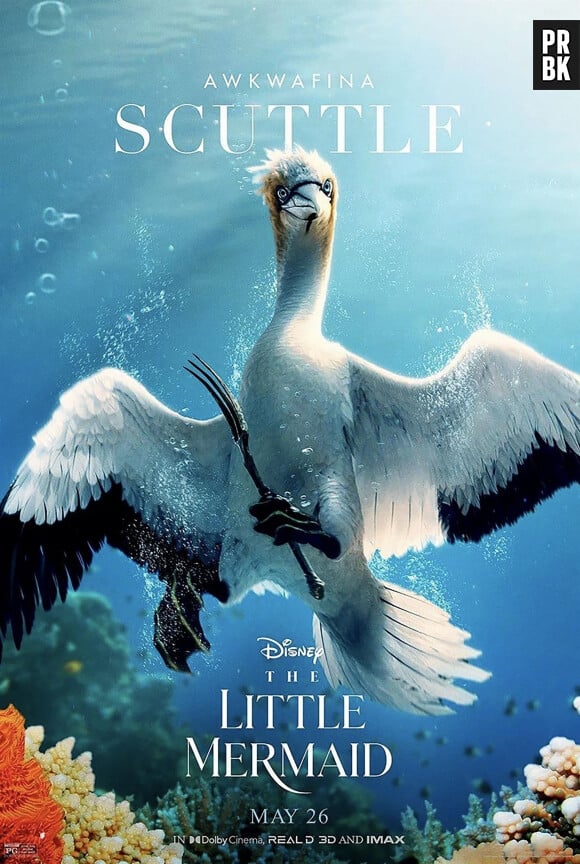 Les affiches présentant les personnages du film Disney "La Petite Sirène".