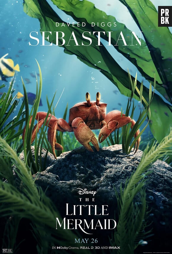 Les affiches présentant les personnages du film Disney "La Petite Sirène".