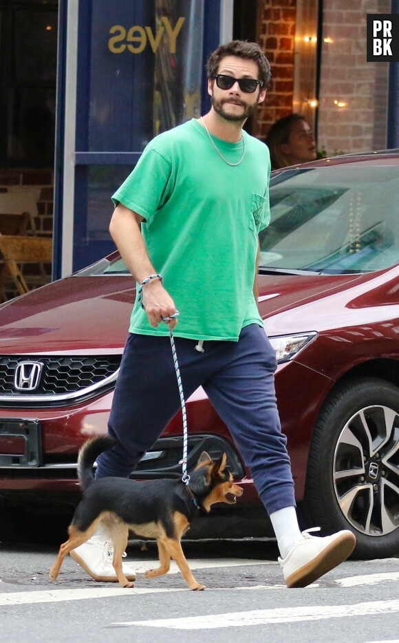 Exclusif - Dylan O'Brien promène son chien avec deux amies après le dîner dans le quartier de Tribeca à New York, le 29 juillet 2022.