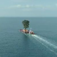 Depuis des années, un milliardaire transporte des arbres par bateau pour son jardin personnel... Et rien ne l'arrête