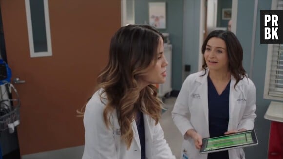 Grey's Anatomy saison 20 : Amelia en couple avec une femme ?