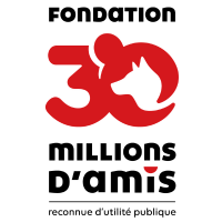 Signatures de pétitions, bénévolat... Comment vous pouvez aider la Fondation 30 Millions d'Amis (et donc les animaux), même sans argent