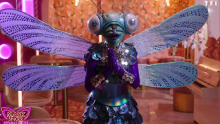 Mask Singer 2024 : la Libellule éliminée, découvrez qui se cachait sous le costume... Une enquêtrice était sérieusement avantagée !