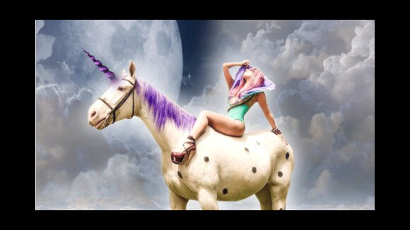 Lady Gaga ... une obsession pour les licornes