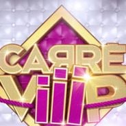 Carré ViiiP ... les candidats (VIP) qui sont sûrs d&#039;être là