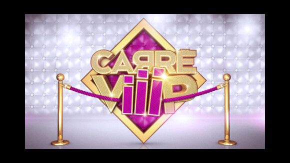 Carré Viiip ... les Viiip découvrent la surprise des Wanna 