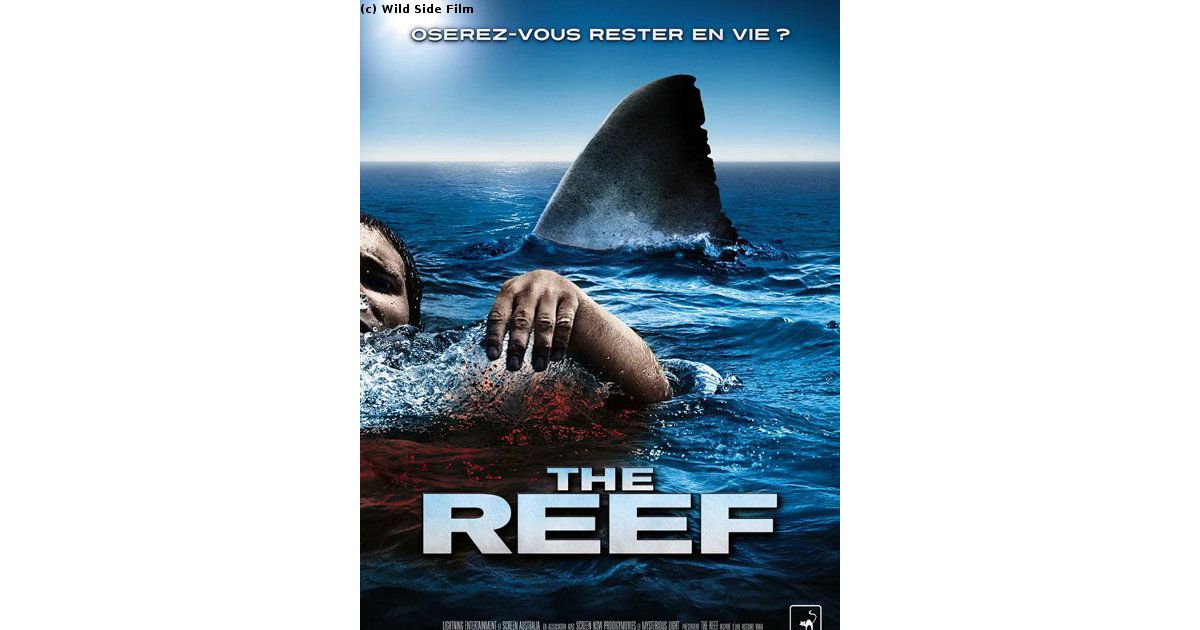Bande Annonce The Reef The Reef en VIDEO... 1ère bande annonce du DVD en VF - Purebreak