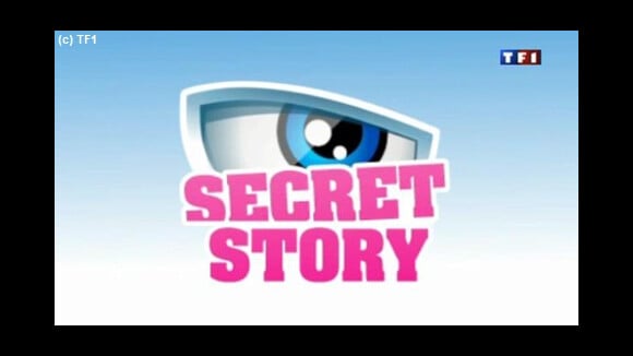 Secret story 5 : les candidats défendent leur nominé préféré (VIDEO)