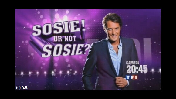 Sosie or not Sosie sur TF1 ce soir : vos impressions (VIDEO)