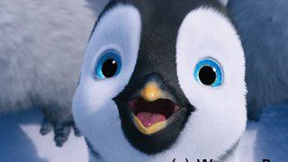 Happy Feet 2 : Des nouvelles photos du film (PHOTOS)