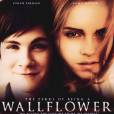 Affiche du film  The Perks of Being a Wallflower  