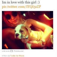 Miley Cyrus in love de ses toutous : elle se ruine pour eux (PHOTOS)