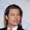 Brad Pitt, le faux bricolo
