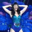 Katy Perry une chanteuse délirante