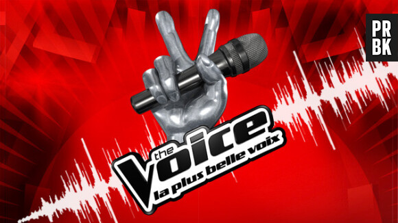 Tous les talents fans de Twitter ?