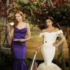 Desperate Housewives, un show qui a cartonné dans le monde entier