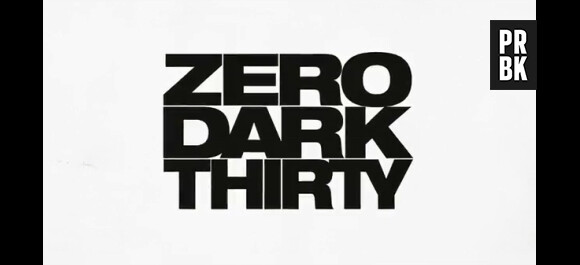 Zero Dark Thirty au cinéma le 23 janvier 2013