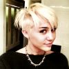 Après une coupe de cheveux étrange, Miley va voir un spectacle bizarre...