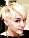 Miley Cyrus n'a peur de rien