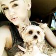 Miley Cyrus est dévastée par la maladie de son chien !