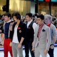 One Direction : Toujours  number 1 , ils soutiennent les autres  boysbands  !