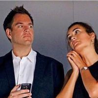 NCIS saison 10 : Pourquoi la série cartonne autant aux USA ?