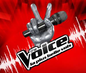 The Voice n'a pas la cote auprès de Nicola Sirkis