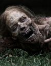 Les zombies attaquent dans un message diffusé à la télé US