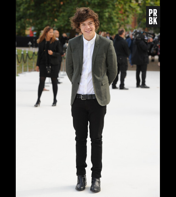 Harry Styles ne voulait pas s'engager