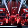 Samedi soir, la troisième soirée des Battles de The Voice 2 sera diffusée sur TF1.