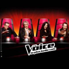 The Voice 2 : Olympe, Aurore Delplace, Florent Torres... Découvrez les 20 premiers talents de la soirée