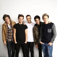 One Direction : "l'un des 5 est probablement gay"