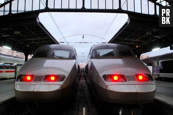 Deux TGV ont été stoppés pour venir à la rescousse d'une dame qui s'était trompée de train