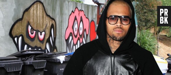 Les tags de Chris Brown ne plaisent pas à tout le monde.