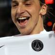 Zlatan Ibrahimovic, champions sur tous les tableaux