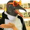 Le Pingouin, le dernier single de Carla Bruni dédié aux grincheux