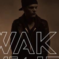 Avicii : Wake Me Up, le titre porté par la voix d&#039;Aloe Blacc