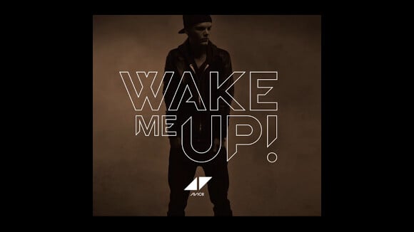 Avicii : Wake Me Up, le titre porté par la voix d'Aloe Blacc