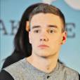 Liam Payne : le One Direction pardonné ?